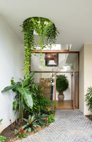 A plant-filled entrance hall with soft natural light